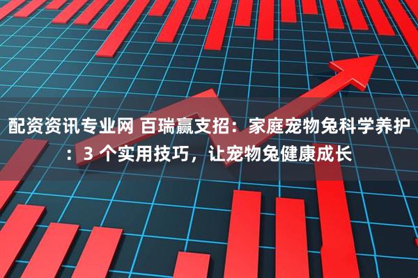配资资讯专业网 百瑞赢支招：家庭宠物兔科学养护：3 个实用技巧，让宠物兔健康成长
