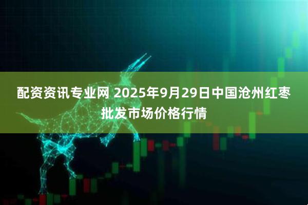 配资资讯专业网 2025年9月29日中国沧州红枣批发市场价格行情